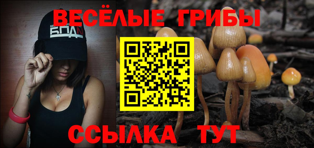 Биробиджан  Псилоцибиновые грибы Psilocybe  Вход с VPN 